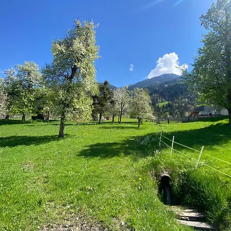 Bed & Breakfast Haus Free Willy Ramsau im Zillertal